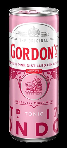 Gordon's Pink Gin & Tonic 10% 12x0,33 l Dose