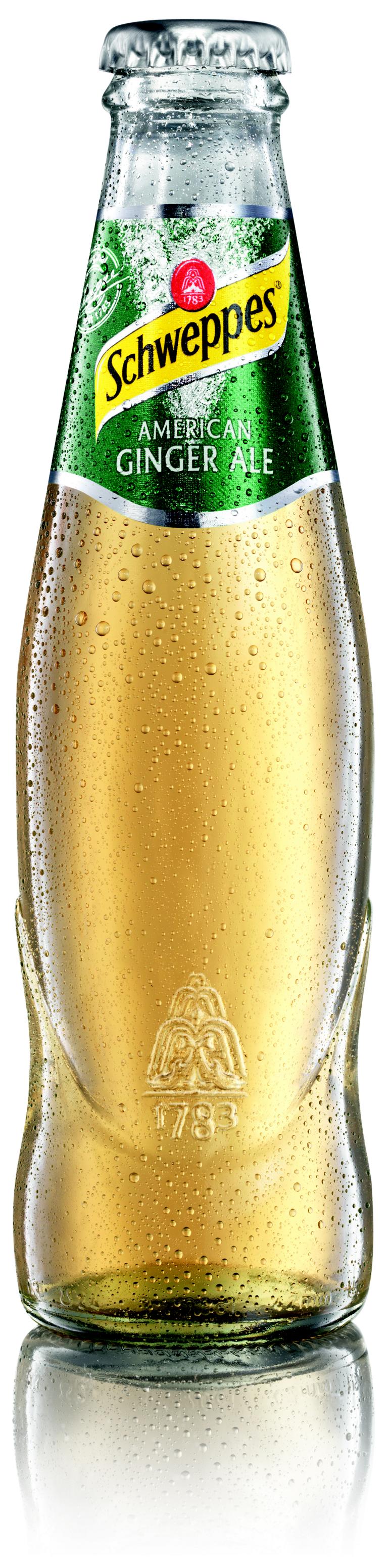 Schweppes American Ginger Ale 24x0,2 l